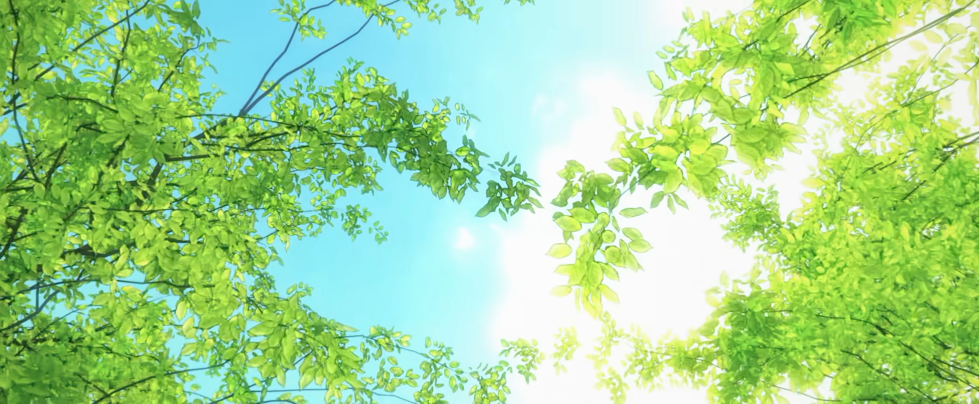 Desktop wallpaper 1